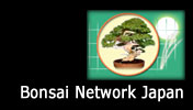 Bonsai Network Japan